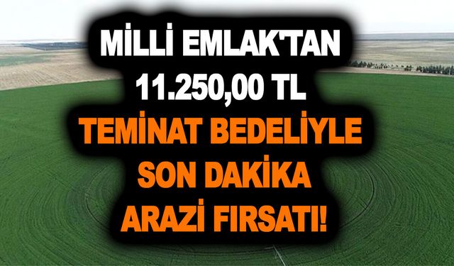 Milli Emlak'tan 11.250,00 TL teminat bedeliyle son dakika arazi fırsatı! Bu tarihi sakın kaçırmayın!