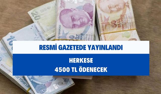 Resmi Gazetede Yayımlandı: Herkese Tam 4500 TL Verilecek