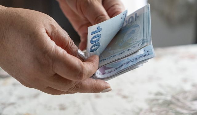 Cüzdanında IBAN numarası yazan, 5000 TL ve 10000 TL arasında para yüklenecek