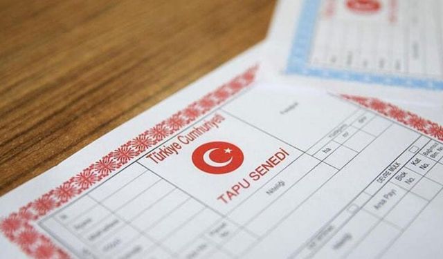 Çürümeye Terk Edilen Tarım Arazileri Ekonomiye Kazandırılıyor